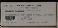 Image Associated With the Occurence